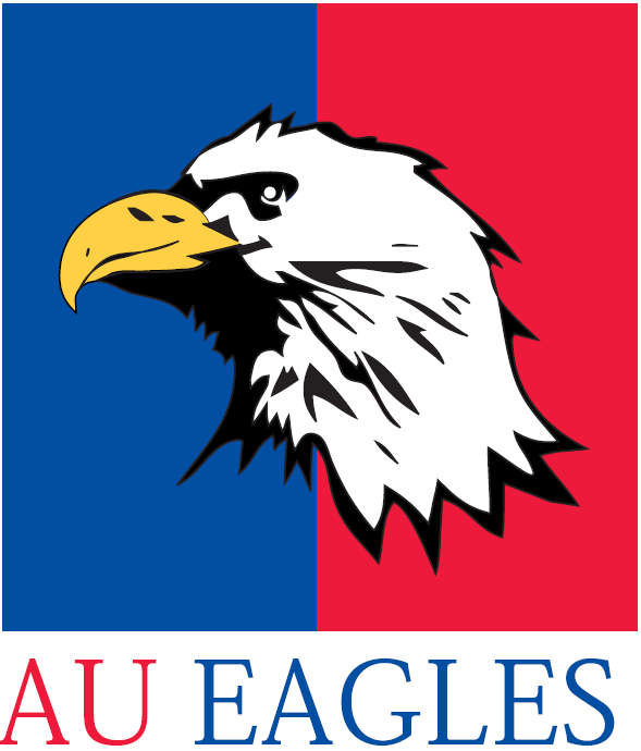 American Eagles 1985-2005 Alternate Logo iron on transfers for T-shirts